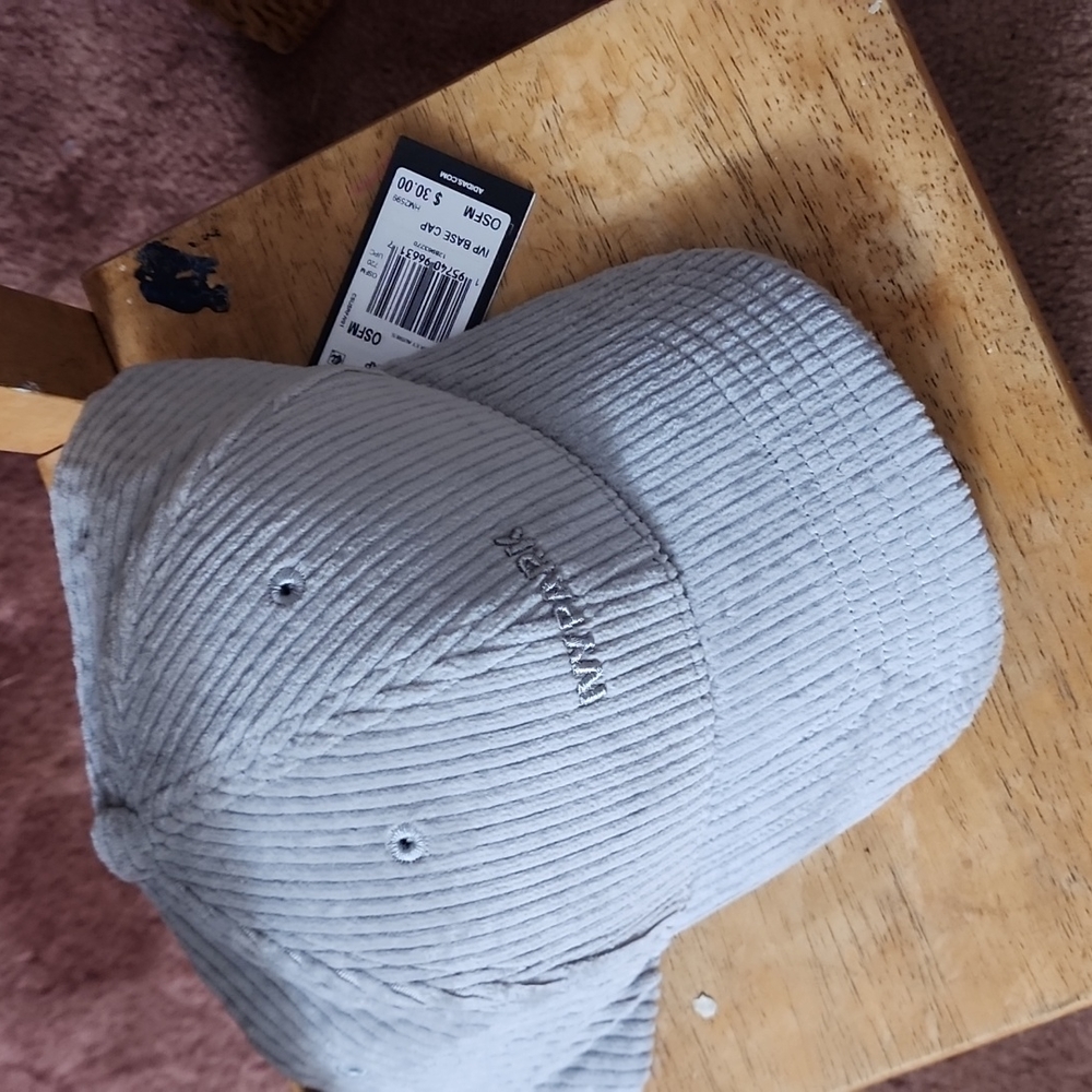 Grey ivy park hat